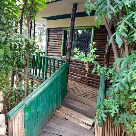 Ruhija Community Rest Camp Bed & Breakfast Kabale Eksteriør bilde